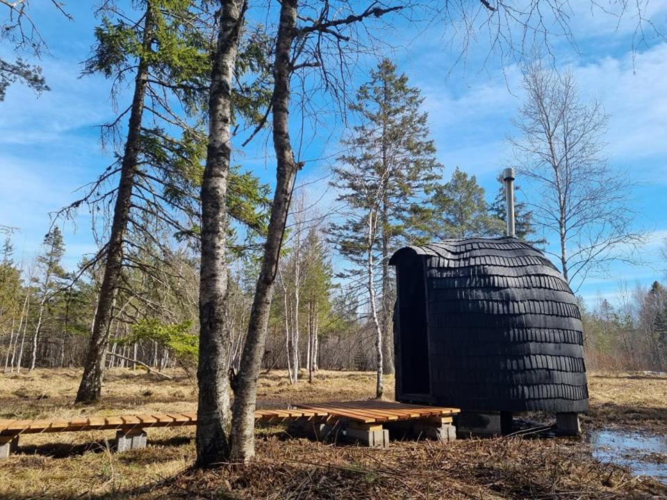 Sambliku Treehouse Villa Jogisoo Bagian luar foto