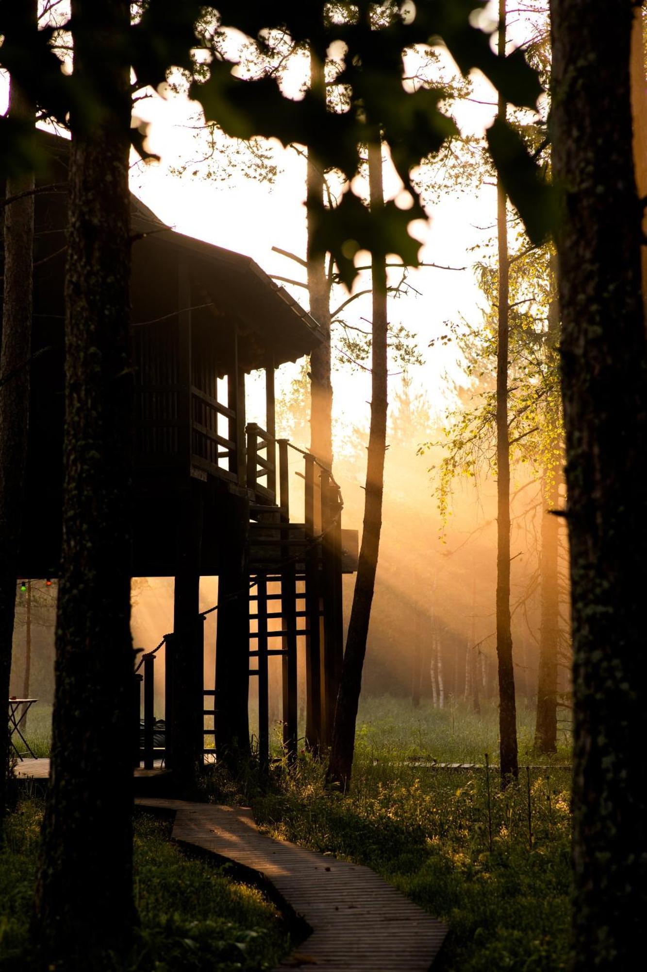 Sambliku Treehouse Villa Jogisoo Bagian luar foto